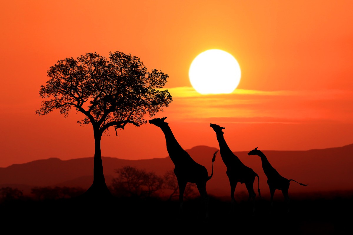 AFRIQUE